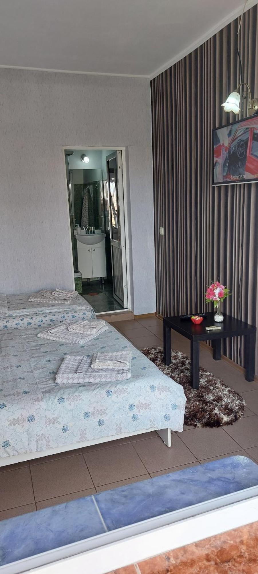 אפורי נורד Vila Alexandru מראה חיצוני תמונה